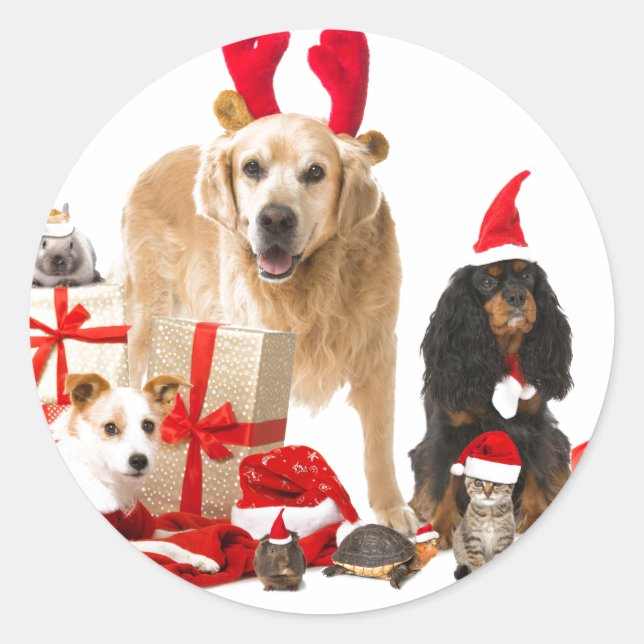 ROND STICKER POUR ANIMAUX DE NOËL (Devant)