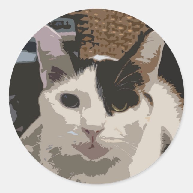 Rond Sticker pour chat (Devant)