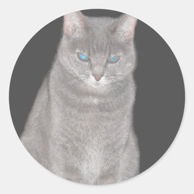 Rond Sticker pour chat gris (Devant)