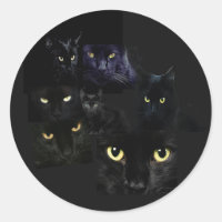 Sticker pour chats