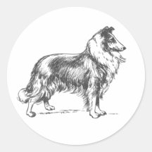 Sticker pour chien Collie