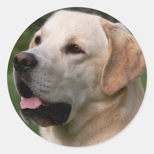 Rond Sticker pour chien de marionnette pour trieur du L (Devant)