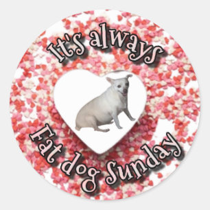 Rond Sticker pour chien gras