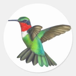 Rond Sticker pour colibri volant en rubis fileté