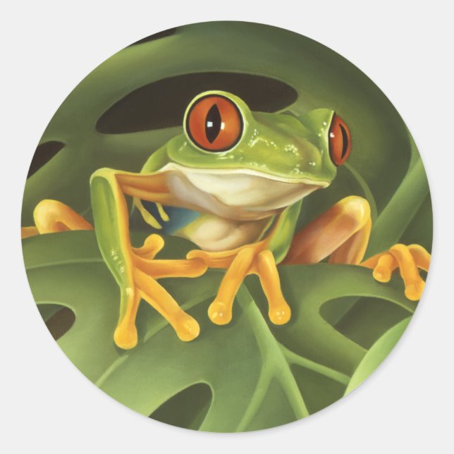Rond Sticker pour grenouille à arbre (Devant)