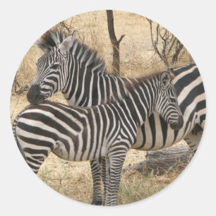 Rond Sticker pour la mère et le bébé Zebra