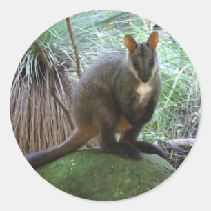 Rond Sticker Rock Wallaby