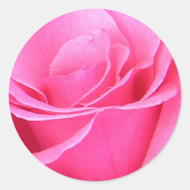 Rond Sticker rose (Devant)