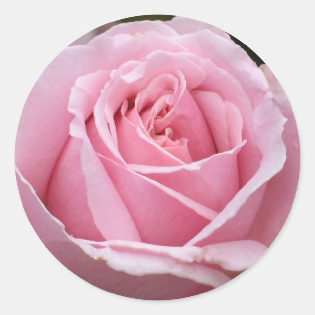 Rond Sticker rose (Devant)