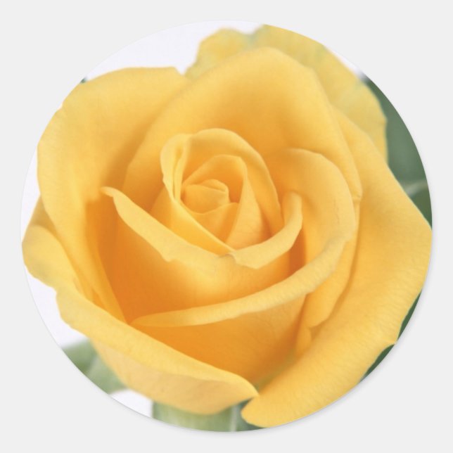 Rond Sticker rose jaune (Devant)