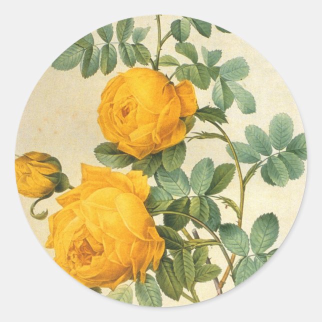 Rond Sticker rose jaune vintage (Devant)