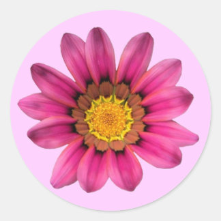 Rond Sticker rose marguerite