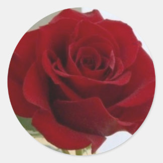 Rond Sticker Rose rouge