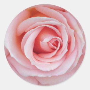 Rond Sticker rose souple