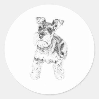 Rond Sticker Schnauzer miniature