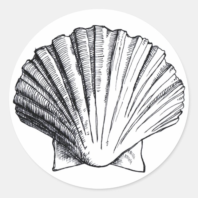 Rond Sticker Shell de la mer Noire (Devant)