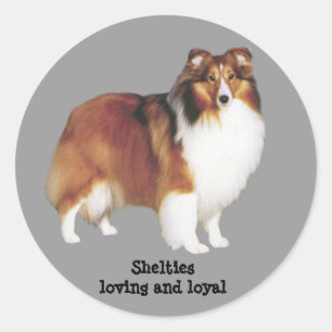 Rond Sticker Sheltie