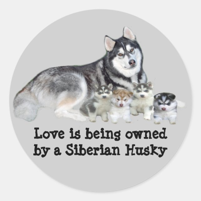 Rond Sticker Sibérien Husky & Puppies (Devant)