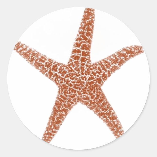 Rond Sticker Starfish (Devant)