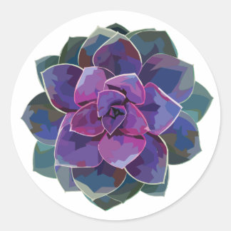 Rond Sticker succulent