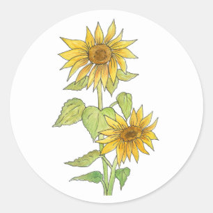 Rond Sticker Sunflower