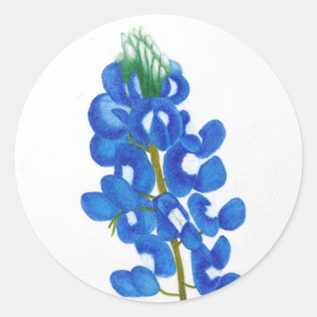 Rond Sticker Texas Bluebonnet (Devant)
