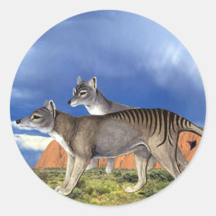 Rond Sticker Tiger Tasmanien