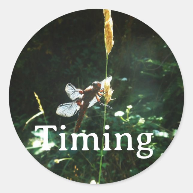 Rond Sticker Timing (Devant)