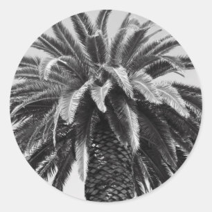 Rond Sticker Tropical Palm Tree