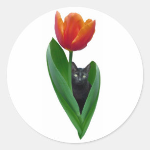 Rond Sticker Tulip Cat