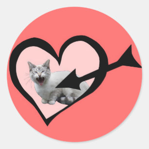 Rond Sticker Valentine pour chat Meowing