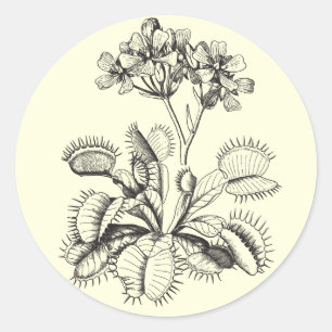Rond Sticker Vénus Flytrap