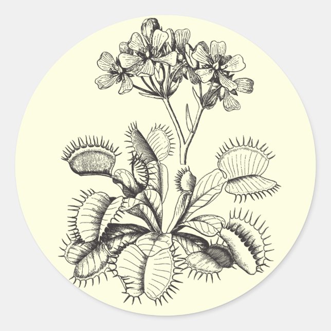 Rond Sticker Vénus Flytrap (Devant)