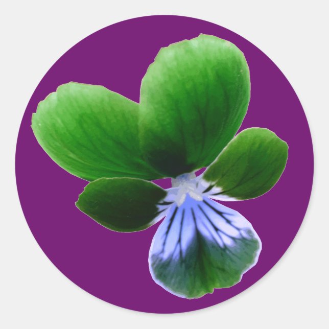 Rond Sticker vert (Devant)
