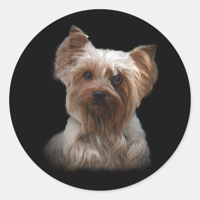 Rond Sticker Yorkshire Terrier (Devant)