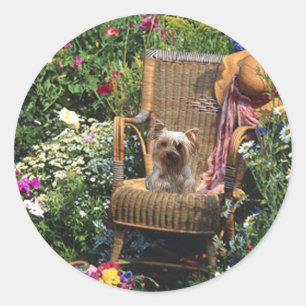 Rond Sticker Yorkshire Terrier Jardin