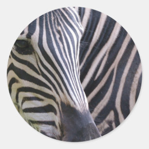Rond Sticker Zebra