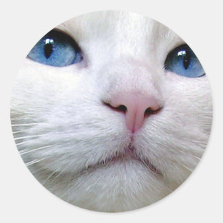 Rond Tom Sticker
