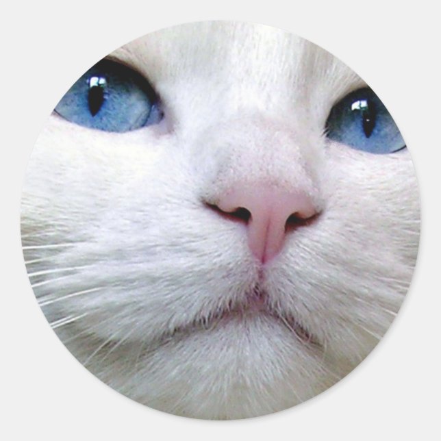 Rond Tom Sticker (Devant)