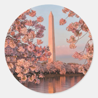 Rond Washington Monument and Cherry Blossoms Sticker
