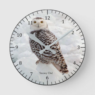 Ronde Horloge de hibou de Milou