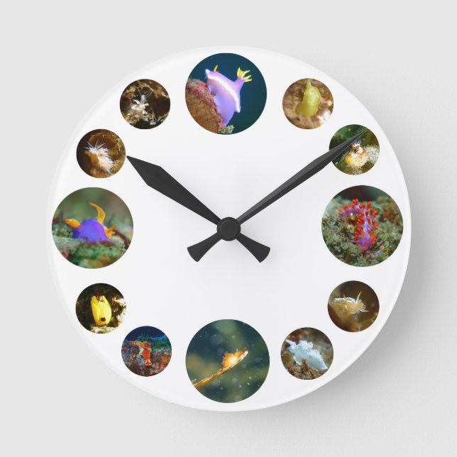 Ronde Horloge de Nudibranch (Recto)