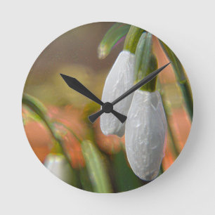 Ronde Horloge de Perce-neige-Mur