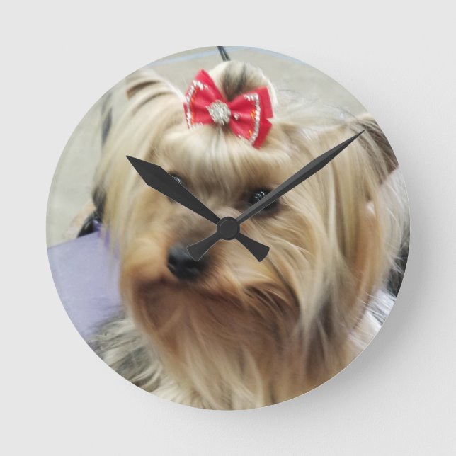 Ronde Horloge de Yorkshire Terrier (Recto)