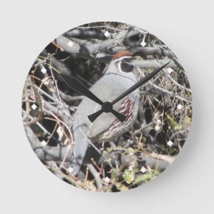 Ronde Horloge des cailles de Gambel masculin