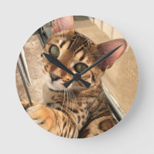 Ronde Horloge du chat du Bengale