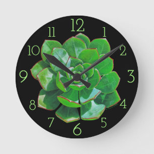 Ronde Horloge mural Succulente Rosette