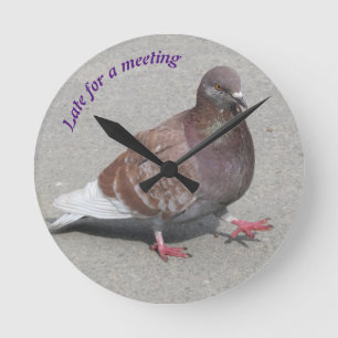 Ronde Horloge pigeon