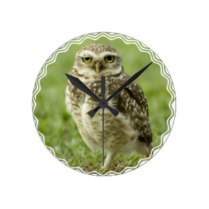 Ronde Horloge vigilante de hibou