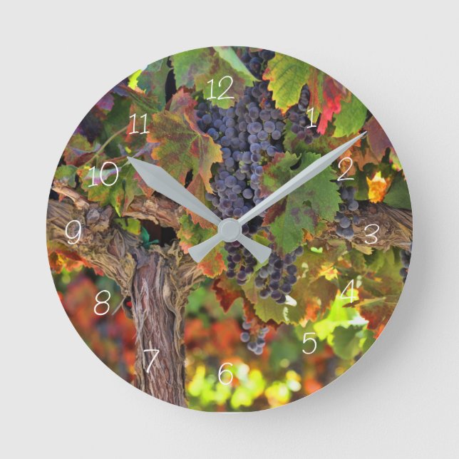 Ronde Horloge viticole de raisin (Recto)